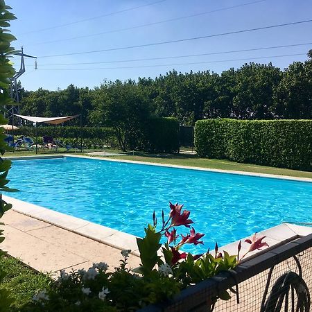 Agriturismo Corte Pellegrini San Martino Buon Albergo Bagian luar foto