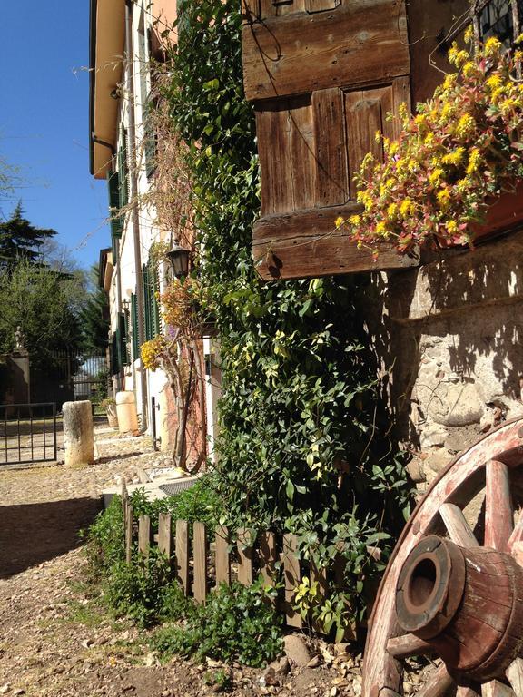Agriturismo Corte Pellegrini San Martino Buon Albergo Bagian luar foto