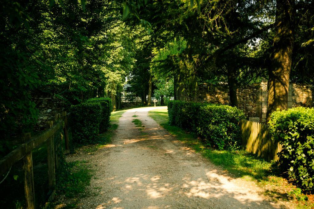 Agriturismo Corte Pellegrini San Martino Buon Albergo Bagian luar foto